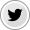 Twitter Icon